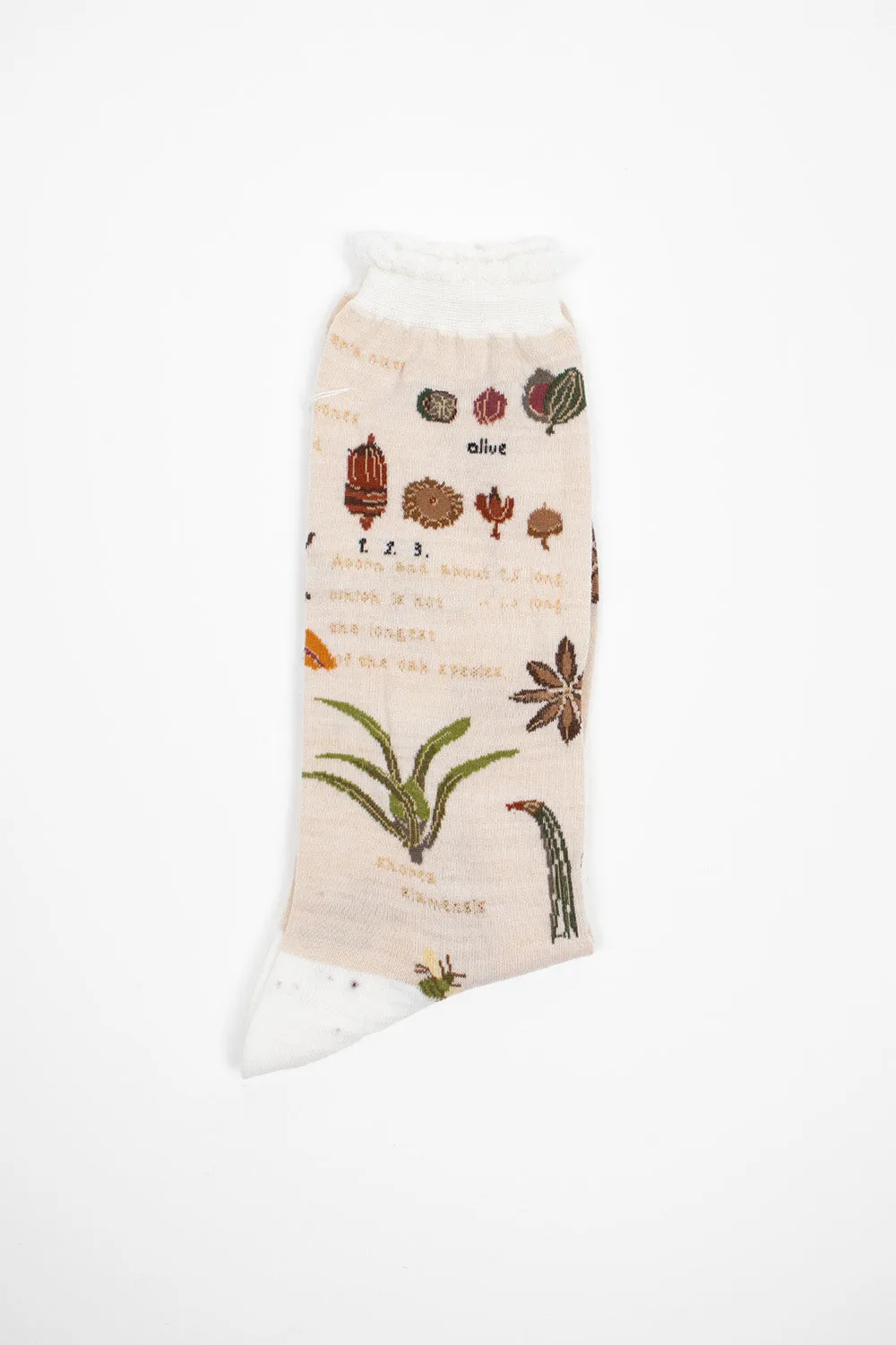 AM-773 Botanical XV Socks Ivory