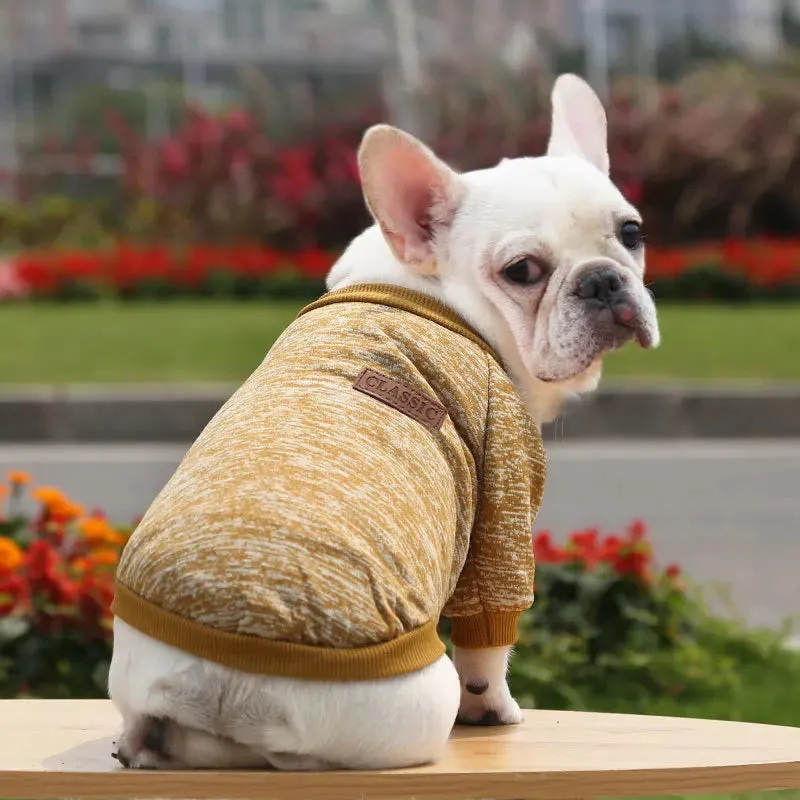 Winter Hoodies & Sweaters for Small to Medium Dogs